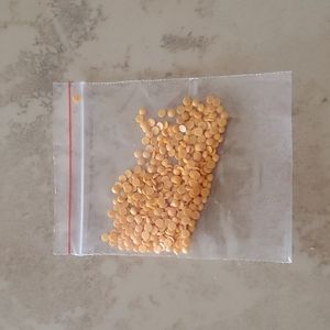 Bundle of Tangerine Faux Jewels nwot